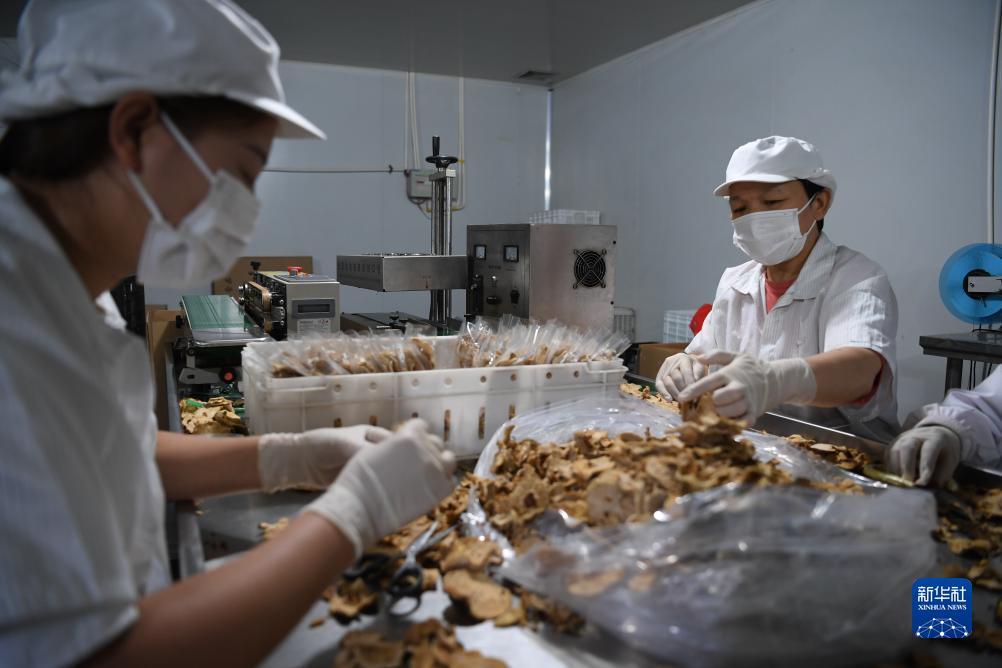 捕鱼达人3d电脑版下载官网